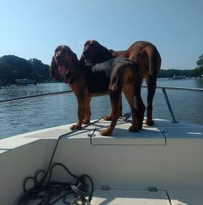 Meet your Posher, Brenda